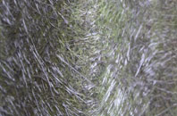 Fife Keith fibreglass roof work